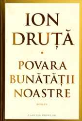 Povara bunătăţii noastre : Roman