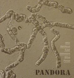 Pandora : kulturně-literární revue 35