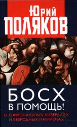 Босх в помощь!